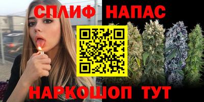 ПСИЛОЦИБИНОВЫЕ ГРИБЫ Добрянка