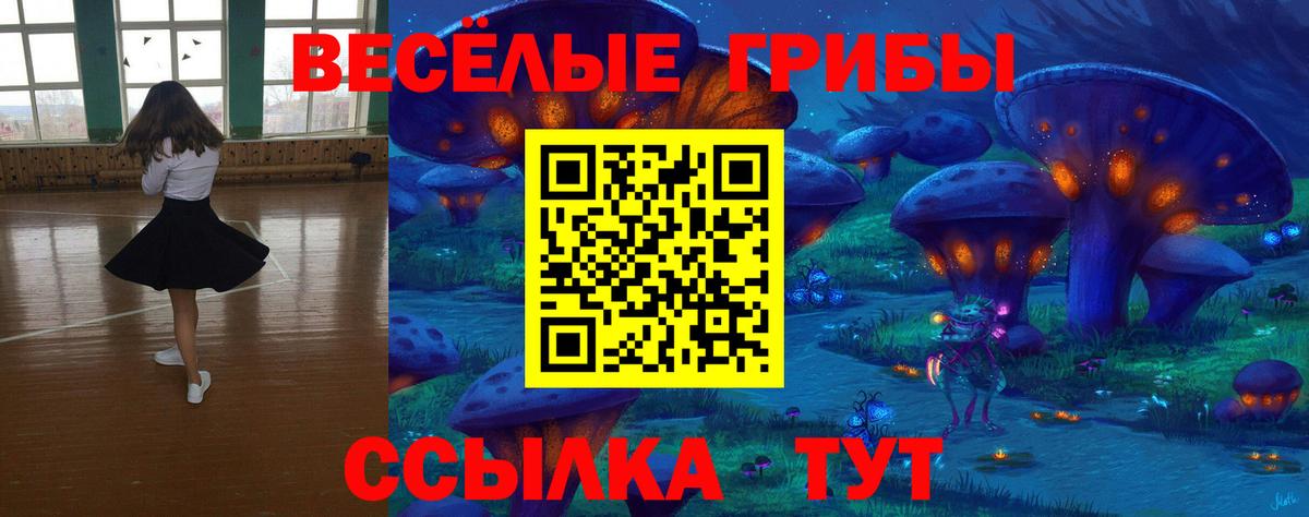Вязьма  где продают   Вход с VPN  Псилоцибиновые грибы ЛСД 
